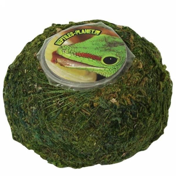 Repti Moss Ball